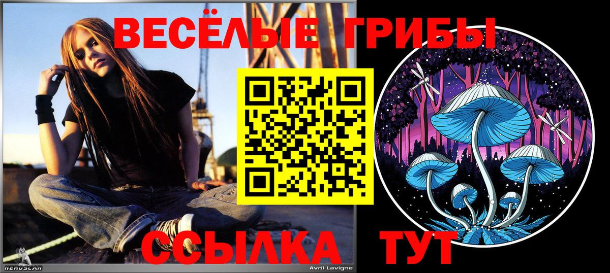 Псилоцибиновые грибы прущие грибы Северск