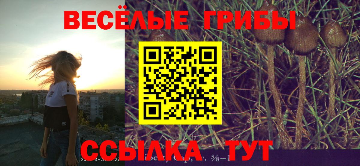Псилоцибиновые грибы мухоморы  Вход с VPN  Псилоцибиновые грибы Cubensis  Северск 